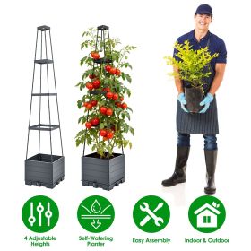 2Pack Raised Garden Bed Boxes with Trellis 56" Tomato Self-Watering Planter Box Indoor Outdoor with 4 Adjustable Heights 10 Clips 65FT Ties for C