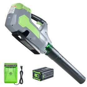 Cordless Leaf Blower, 60V Powerful Electric Leaf Blower with 5.0Ah Battery, Fast Charging & Quiet Operation, 3 Speed Control